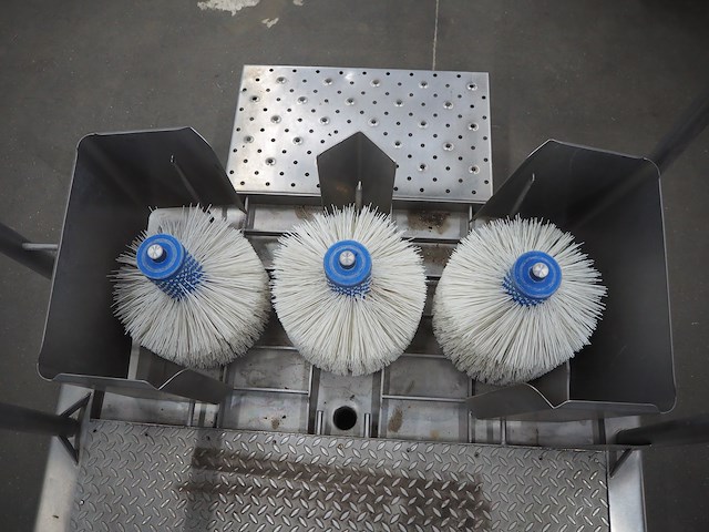 Bosgraaf - afbeelding 9 van  10