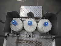 Bosgraaf - afbeelding 9 van  10