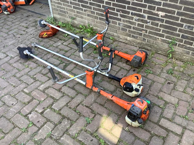Bosmaaier 3x - afbeelding 1 van  6
