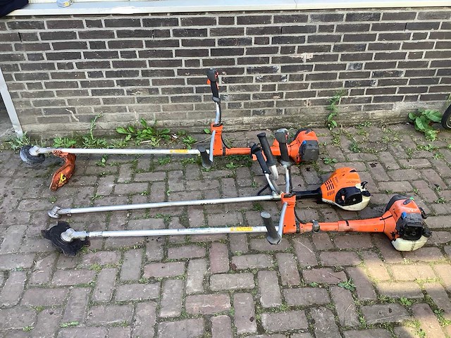 Bosmaaier 3x - afbeelding 2 van  6