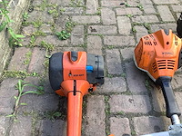Bosmaaier 3x - afbeelding 5 van  6
