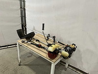 Bosmaaier (3x) - afbeelding 1 van  4