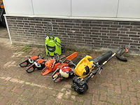 Bosmaaier (8x) - afbeelding 1 van  5