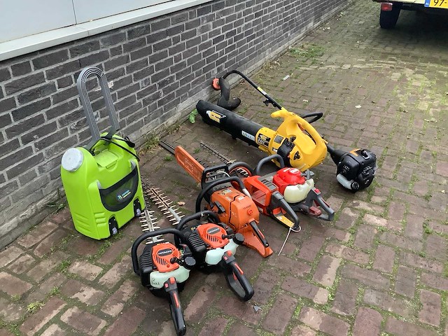 Bosmaaier (8x) - afbeelding 2 van  5