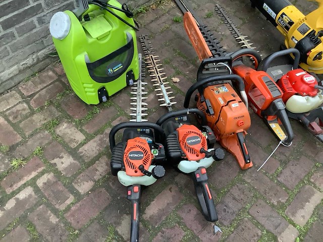 Bosmaaier (8x) - afbeelding 3 van  5