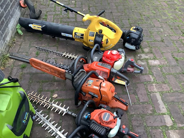 Bosmaaier (8x) - afbeelding 4 van  5