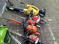 Bosmaaier (8x) - afbeelding 4 van  5