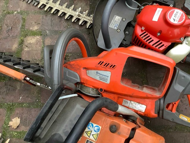 Bosmaaier (8x) - afbeelding 5 van  5