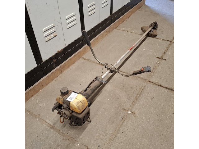 Bosmaaier, kawasaki - afbeelding 2 van  9