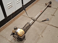 Bosmaaier, kawasaki - afbeelding 2 van  9