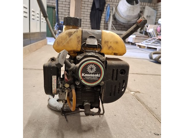 Bosmaaier, kawasaki - afbeelding 3 van  9
