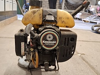 Bosmaaier, kawasaki - afbeelding 3 van  9