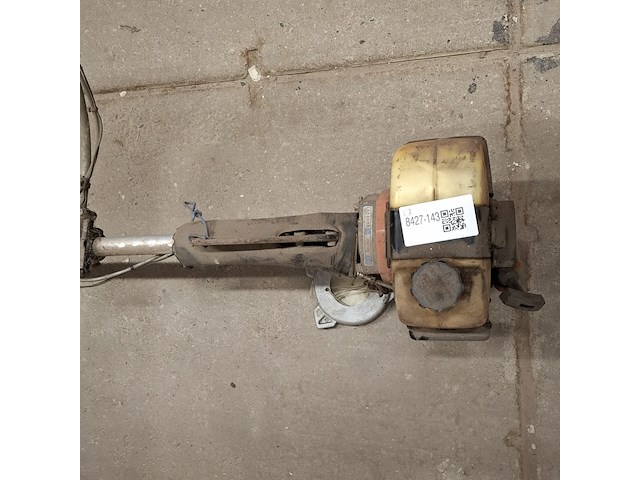 Bosmaaier, kawasaki - afbeelding 4 van  9