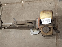 Bosmaaier, kawasaki - afbeelding 4 van  9