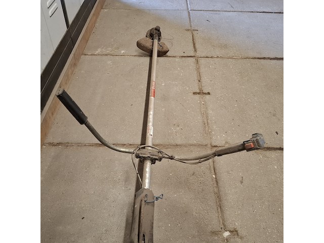 Bosmaaier, kawasaki - afbeelding 5 van  9