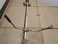 Bosmaaier, kawasaki - afbeelding 5 van  9