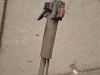 Bosmaaier, kawasaki - afbeelding 6 van  9