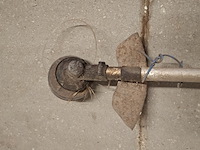 Bosmaaier, kawasaki - afbeelding 7 van  9