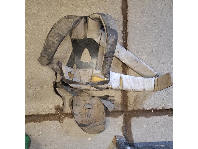 Bosmaaier, kawasaki - afbeelding 8 van  9