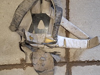 Bosmaaier, kawasaki - afbeelding 8 van  9