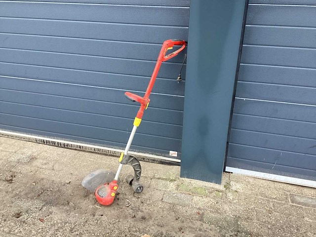 Bosmaaier - afbeelding 1 van  3