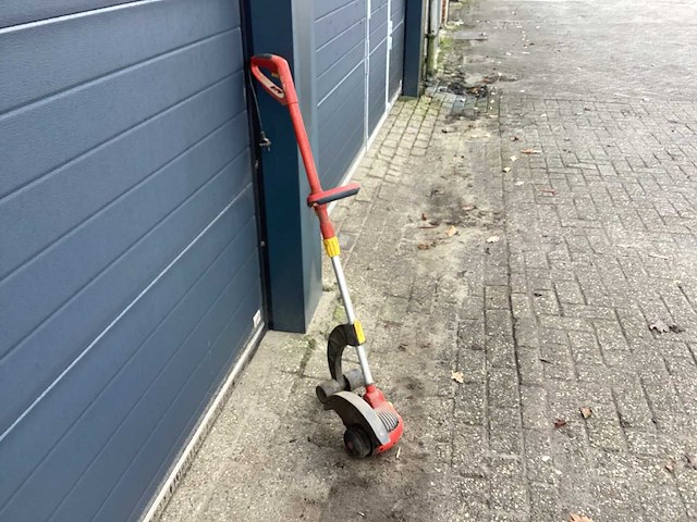 Bosmaaier - afbeelding 2 van  3