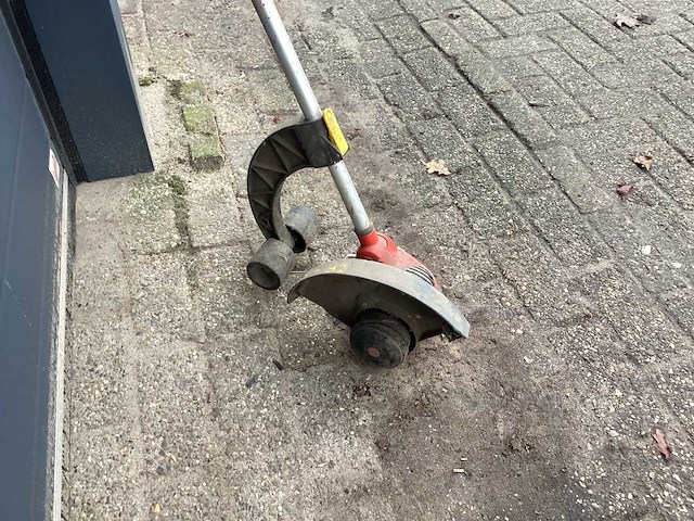 Bosmaaier - afbeelding 3 van  3