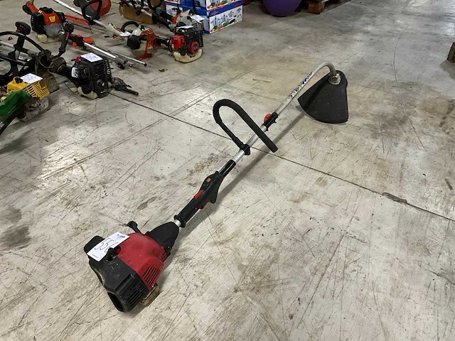 Bosmaaier - afbeelding 1 van  6