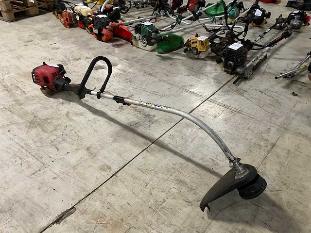 Bosmaaier - afbeelding 2 van  6