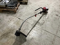 Bosmaaier - afbeelding 4 van  6