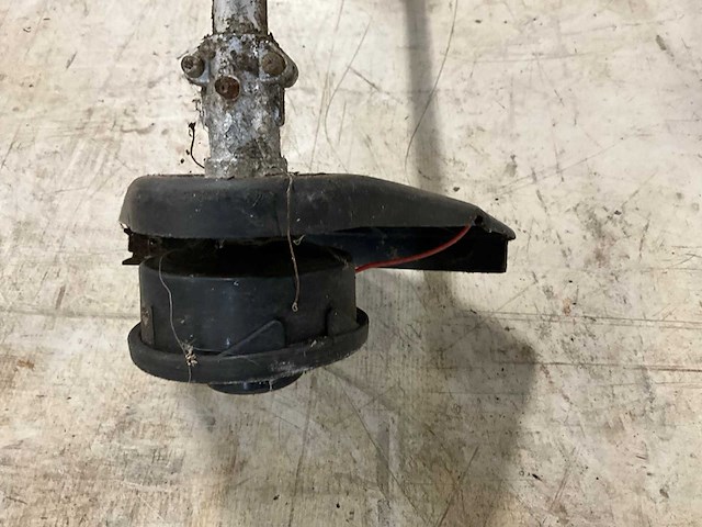 Bosmaaier - afbeelding 5 van  6