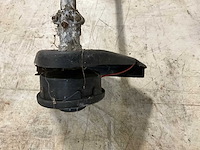 Bosmaaier - afbeelding 5 van  6