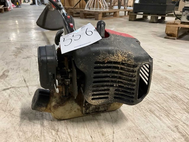 Bosmaaier - afbeelding 6 van  6