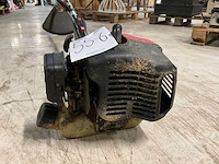 Bosmaaier - afbeelding 6 van  6