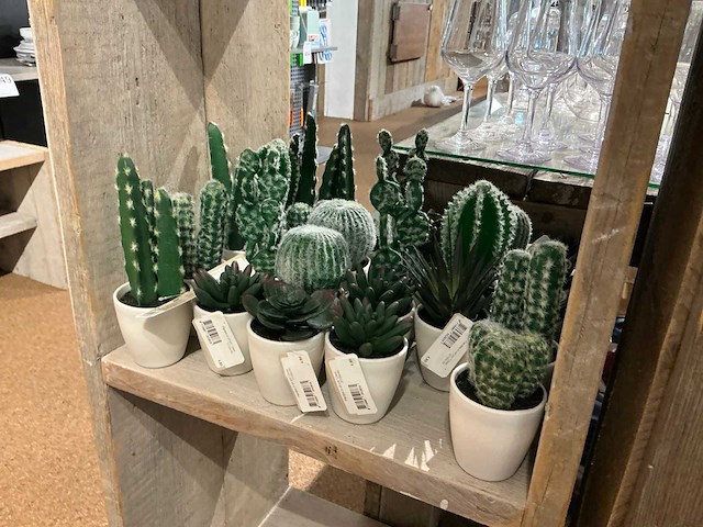 Botanical decoration kunstplant in pot (50x) - afbeelding 1 van  6