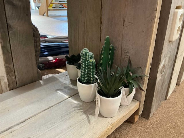 Botanical decoration kunstplant in pot (50x) - afbeelding 3 van  6