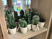 Botanical decoration kunstplant in pot (50x) - afbeelding 5 van  6