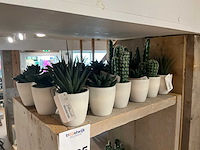 Botanical decoration kunstplant in pot (50x) - afbeelding 6 van  6