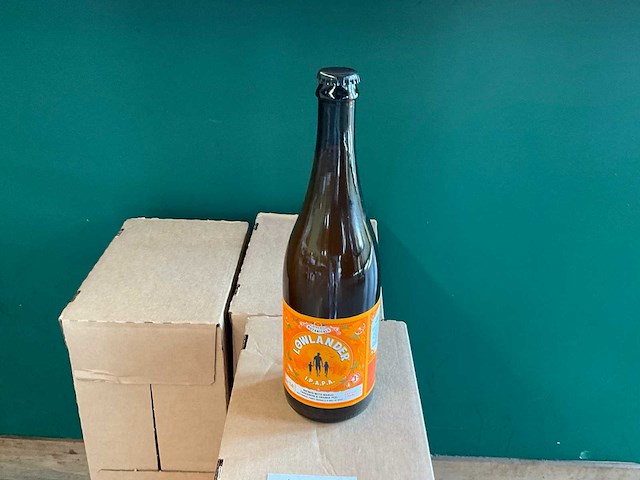Botanicals i.p.a.p.a. fles bier (42x) - afbeelding 1 van  3