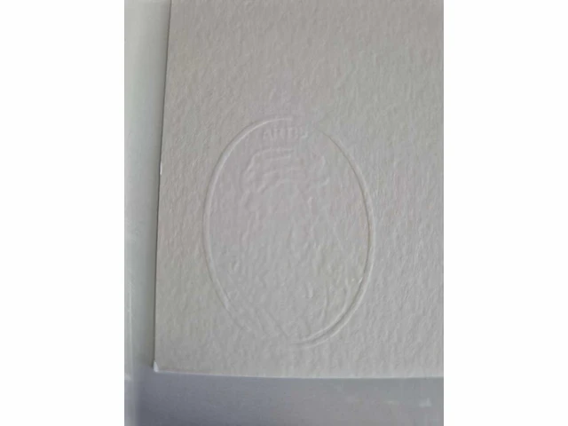 Botero - litho - 65 x 50 - afbeelding 3 van  4