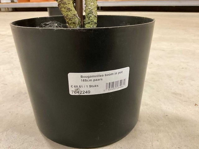 Bougainvillea kunstboom (2x) - afbeelding 3 van  9