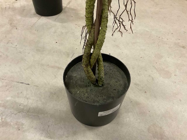 Bougainvillea kunstboom (2x) - afbeelding 4 van  9