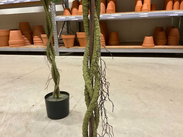 Bougainvillea kunstboom (2x) - afbeelding 5 van  9