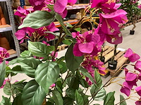 Bougainvillea kunstboom (2x) - afbeelding 2 van  10