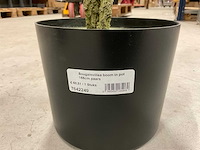 Bougainvillea kunstboom (2x) - afbeelding 4 van  10