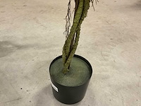 Bougainvillea kunstboom (2x) - afbeelding 5 van  10