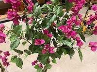 Bougainvillea kunstboom (2x) - afbeelding 9 van  10