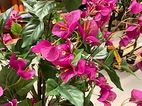 Bougainvillea kunstboom (2x) - afbeelding 10 van  10