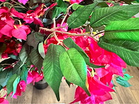 Bougainvillea kunstplant - afbeelding 3 van  8