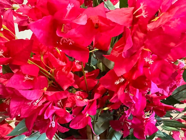 Bougainvillea kunstplant - afbeelding 5 van  8